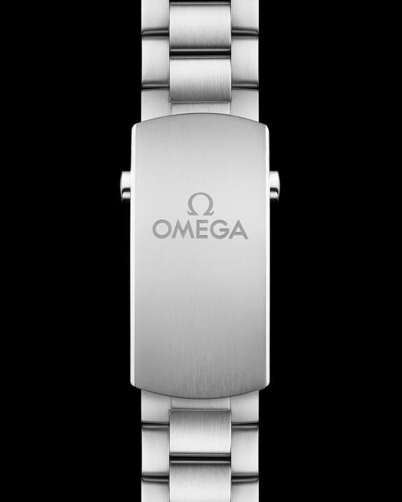 Omeg_a Seamaster Planet Ocean 600M