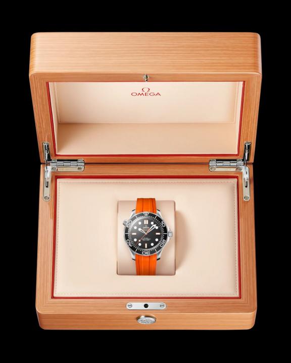 Omegg_a Seamaster Diver 300M Automatic