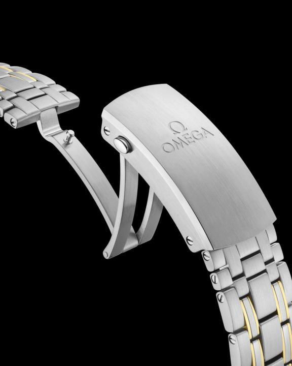 Omeg_a Seamaster Diver 300M Automatic 2Ton-Gold-Black