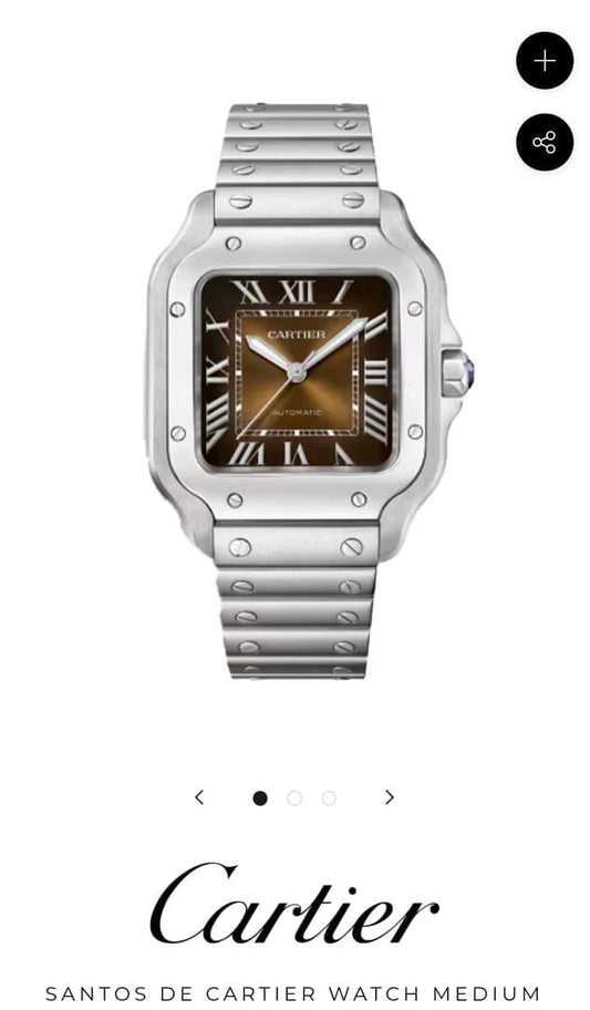 Car.tier Santos Automatic silver brown