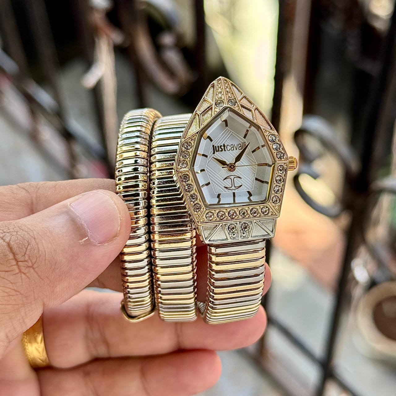 Bvl.gari Cavalli Snake for her